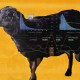 A black sheep paradox is depicted as a sheep overlaid with financial charts, including bar graphs and line graphs, on a yellow background. The data showcases various metrics and percentages.