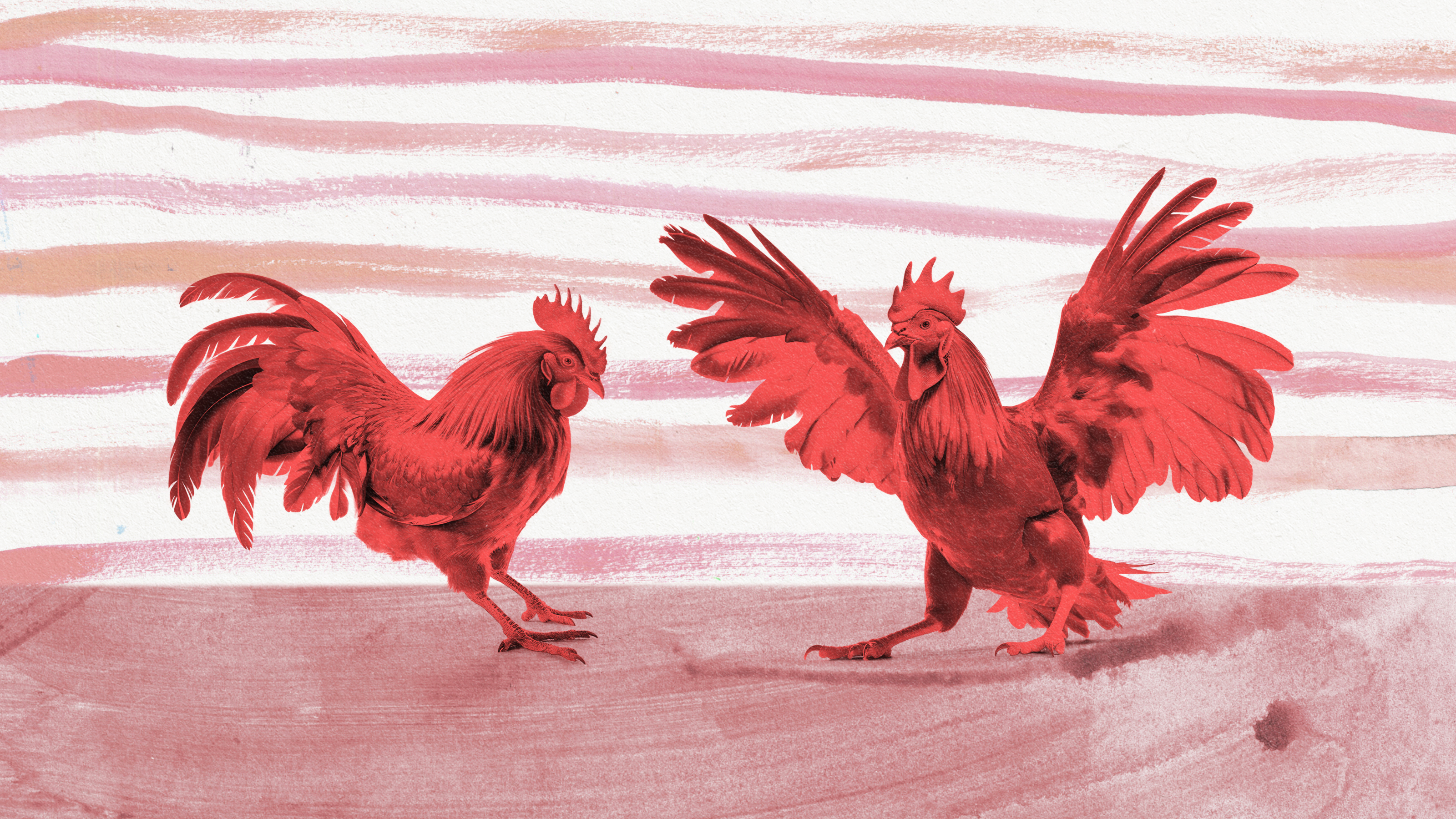 two red roosters with their wings spread.