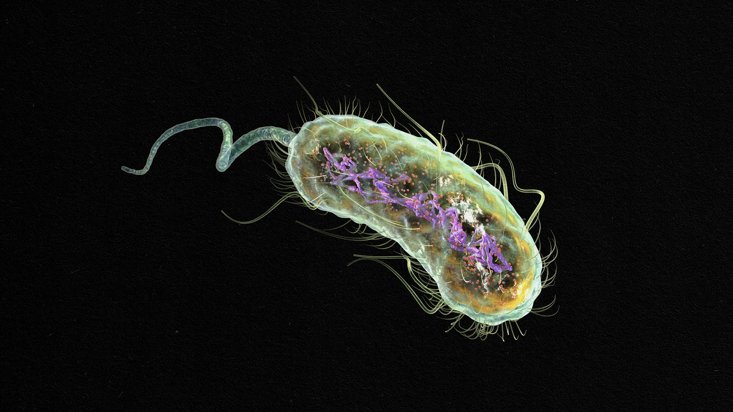 An illustration of a bacterium on a black background related to Parkinson's disease.