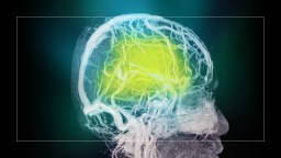 Image of a human brain scan with highlighted neural pathways in bright yellow, set against a dark background.