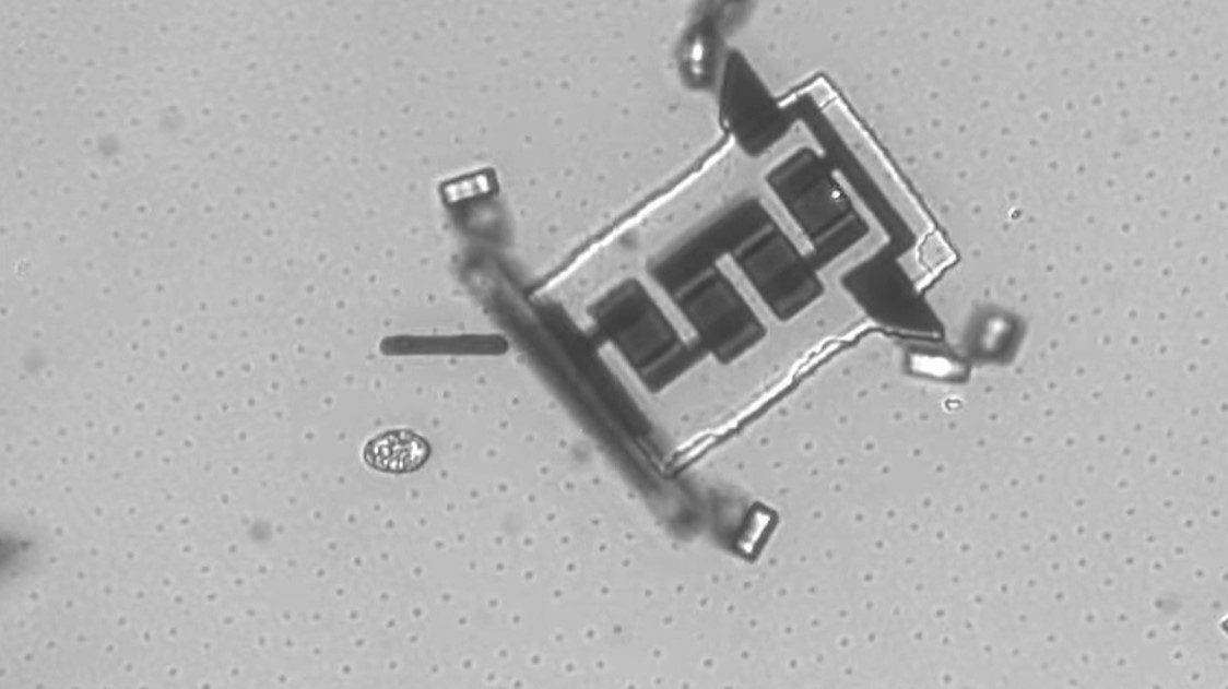 Microscopic image of a small electronic component with clear details of its structure and connections against a gray background.